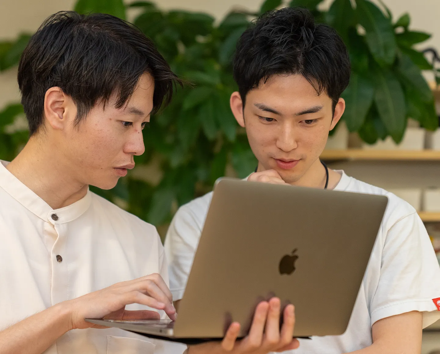 顧問・受託事業